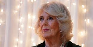 Expert brought in to protect iconic US tourist attraction: 'He obviously  had a vision'