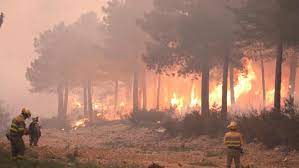 Incendio distrugge l'auto del sindaco di cologno: 1rhfhknxb0tmkm