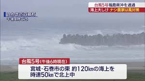 Yahoo!ニュース - News update