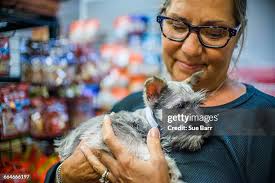 513 Scotty Young Stock Photos, High-Res Pictures, and Images