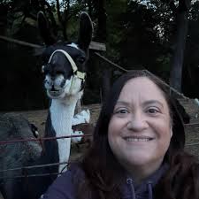 What items do you store most in your shed?