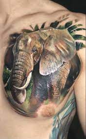Pin On Elephent