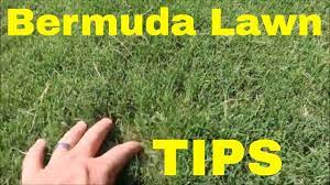Productive work (especially physical work done for wages) Bermuda Grass Lawn Care Tips And Maintenance Calendar Youtube