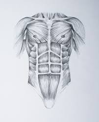 We did not find results for: Megan Mcdonald Torso Muscle Drawings Anatomy Art Human Anatomy Drawing Drawings