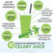 10 Health Benefits Of Celery Juice Celery Benefits Health Celery Benefits Celery Juice Benefits