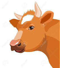Cow Face Vector Image Cow Face On A White Background Farm Animal Royalty Free Cliparts Vectors And Stock Illustration Image 60257258 Use the line art drawing to make a friendly cowface mask, craft template, or as a digital stamp. cow face vector image cow face on a white background farm animal