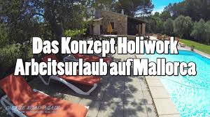 I have been in the pest control industry since 1998; Das Konzept Holiwork Arbeit Darf Auch Schon Sein Holiwork