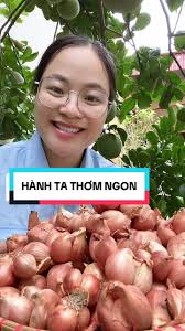 Trả lời @siuuuuu vâng hành ta nên thơm lắm ạ #hanhkho #hanhkhohaiduong...