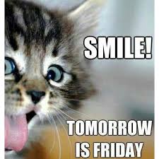 We did not find results for: Pin By Zoeann Coates On Daily Greetings Its Friday Quotes Tomorrow Is Friday Thursday Meme