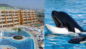 Resultado de imagen de imagenes de loro parque