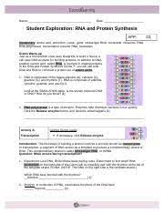 Entdecke rezepte, einrichtungsideen, stilinterpretationen und andere ideen zum ausprobieren. Gizmo 5 Rna And Protein Synthesis July 2017 Name Date Student Exploration Rna And Protein Synthesis App Vocabulary Amino Acid Anticodon Codon Course Hero