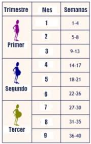 Ha llegado las 22 semanas de embarazo y el tiempo ha pasado muy rápido. Tengo 9semanas Cuantos Meses Son Club Marzo 2019 Embarazo Y Bebes Babycenter