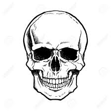 Stock Vector Easy Skull Drawings Skulls Drawing Skull Drawing