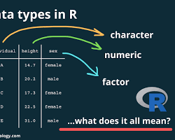 Numeric Integer Data resmi