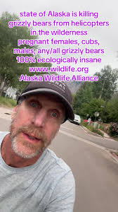 Michael Hayson Alaska