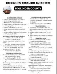 Image result for Handic 0060