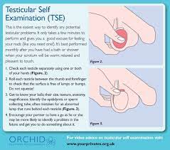The most common symptom is a lump or a swelling in your testicle. Knowyourballs Trsene V Twitter