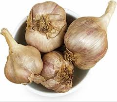 Organic Hill Garlic