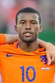 Georginio wijnaldum prefers to play with right foot. Georginio Wijnaldum Wikipedia