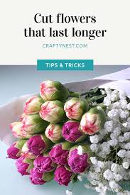Nicky paul owns independent florist business, paradise blooms and specialises in creating custom bouquets with unusual flowers and foliage. Long Lasting Cut Flowers Crafty Nest