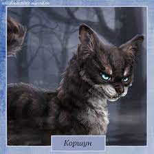 pin na doske warrior cats