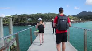 Check spelling or type a new query. Bozsky Vulkan Rangitoto A Ostrov Motutapu
