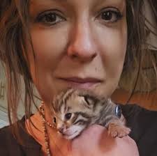 Reputable bengal breeders in northeast coast?