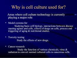 We did not find results for: Animal Tissue Culture
