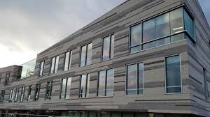 Image result for Erlangea