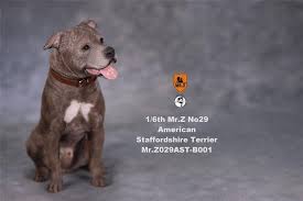 The staffordshire spaniel, which has been in production since the 1720s, became the quintessential. High Quality Mr Z 1 6 American Staffordshire Terrier Dog Pet Figure Animal Decor Toys Hobbies Action Figures