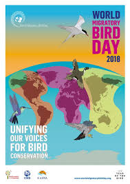 World Migratory Bird Day 2018 Eaaflyway Migratory Birds Technology Posters World Birds