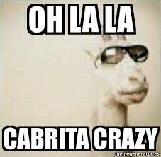 Rodrigo cabrita is a freelance photojournalist based in lisbon. Meme Personalizado Oh La La Cabrita Crazy 2097006