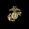 They can be credited with the development of helicopter insertion doctrine and modern amphibious assault. Https Encrypted Tbn0 Gstatic Com Images Q Tbn And9gcqap5zjpizplljsm2dte5rocww9ykrlzlkbm2v4paotqh3ddhs4 Usqp Cau