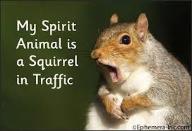 Treasure hunter, flirtatious, ambitious squirrel spirit animal is the totem that reminds us to save for a rainy day and have a full pantry. Squirrel In Traffic Spirit Animal Magnet Alair Gift Shop