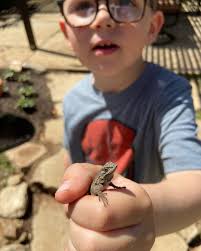 Thomas Larsen (@blackberry_banjos) • Instagram photos and videos