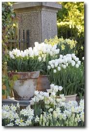 Fruhbluher In Grossen Topfen Garten Fruhlingsgarten Gartengestaltung Ideen