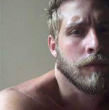 Blond German Men Blonde Beard Beard No Mustache Blonde Guys