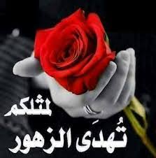 كلمات جميلة منوعات عبارات فوائد افضل كلام صور حلوه صور ورد خلفيات اشكال ورود مختلفة صور ورد خلفيات اشكال ورود مختلفة فردوس العبسي 4 يوليو 2018 الأربعاء 2 34 صباح ا. ÙˆØ±ÙˆØ¯ Ù…ÙƒØªÙˆØ¨ Ø¹Ù„ÙŠÙ‡Ø§ Ø¹Ø¨Ø§Ø±Ø§Øª Ø¬Ù…ÙŠÙ„Ù‡ Ø§Ø±ÙˆØ¹ Ø§Ù„Ø¹Ø¨Ø§Ø±Ø§Øª Ø§Ù„Ù…ÙƒØªÙˆØ¨Ø© Ø¹Ù„Ù‰ Ø§Ù„ÙˆØ±Ø¯ ÙÙ‰ ØµÙˆØ± Ø¬Ù…ÙŠÙ„Ø© Ù…Ø³Ø§Ø¡ Ø§Ù„ÙˆØ±Ø¯