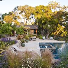 Modern Texas Landscaping Home Outdoor Landscape Via Christina Khandan On Irvineh Pool Landscape Design Modern Landscaping Backyard Pool Landscaping