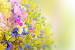 Beautiful Flower Wallpaper Of Rose