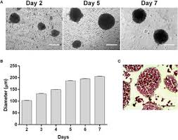Maybe you would like to learn more about one of these? Frontiers The Secretome Derived From 3d Cultured Umbilical Cord Tissue Mscs Counteracts Manifestations Typifying Rheumatoid Arthritis Immunology