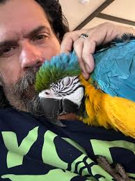 Any bird lovers in the group?