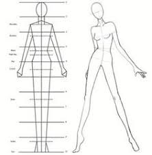 Tips bagaimana membuat desain baju untuk pemula di dunia fashion 27 Ide Cara Membuat Anatomi Tubuh Anatomi Tubuh Anatomi Tubuh
