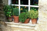 Such a window is sure to take arched floor to ceiling windows create a refined and chic feeling in the space. Windowsill Meaning In The Cambridge English Dictionary
