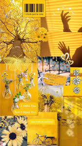 Yellow Aesthetic Yellowaesthetic Flower Sunflower Yellowflower Filter Theme Aesthetic Iphone Wallpaper Yellow Yellow Aesthetic Pastel Yellow Wallpaper
