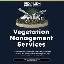 Xylem Tree Experts