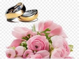 Kepopuleran bunga mawar itu telah ada sejak zaman dahulu kala. Cincin Kawin Pernikahan Pengantin Gambar Png