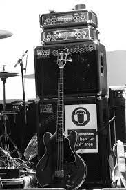 Peter Hook Bass Guitar Amps Bass Guitar Bass Amps Famous Guitars