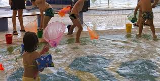 Animations Des Vacances Piscine Villa Sport A Saint Yrieix La Pe Haute Vienne