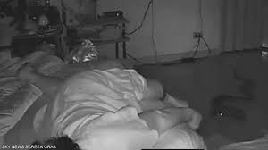 ثعبان يلدغ سيدة بعد التسلل إلى شقتها